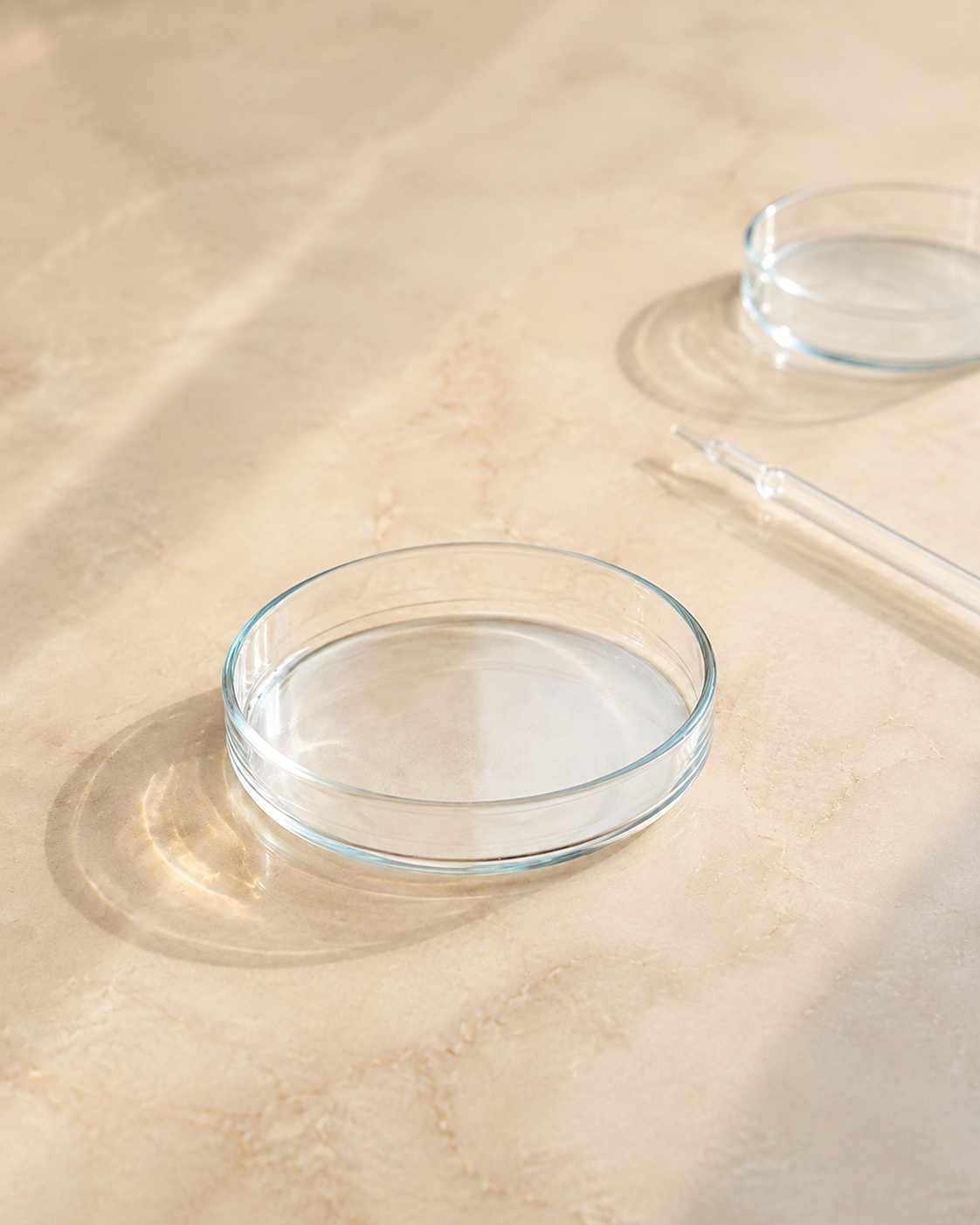 Pristine glass petri dish and pipette on a warm ivory laboratory surface